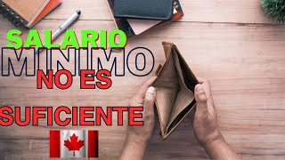 De compras con el SALARIO MÍNIMO en Canadá Quebec [upl. by Thebazile]