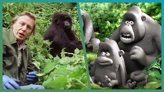 The Gorillas Meet Attenborough ft Aardman Animations Attenborough90  BBC Earth Unplugged [upl. by Yhtomot324]