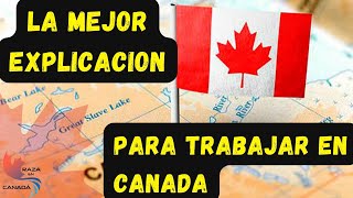 Como puedo trabajar en canada paso a paso canada trabajos latinos [upl. by Aramad]