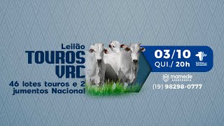 Lote 22 ECIANO PONTAL VR VRC 9041 zap [upl. by Piks]