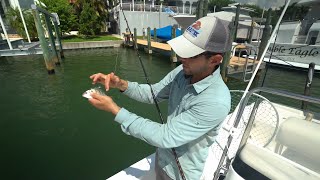 fishing with LIVE PINFISH and popping cork [upl. by Aleet269]