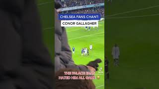 Conor Gallagher chant vs Crystal Palace 2023 [upl. by Hennie358]