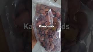 Karanj seeds [upl. by End]