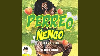 Perreo Ñengo Brasilero [upl. by Penelope]