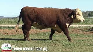 LOT 29  TRURO TOUCHE T209 H [upl. by Merrel]