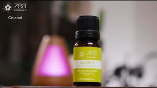 Cajeput Essential Oil Melaleuca cajuputi  Zea Essentials [upl. by Ahtelahs]