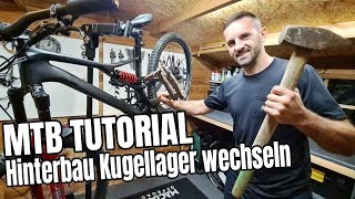 Kugellager am MTB Hinterbau wechseln  Mountainbike Tutorial  Specialized Stumpjumper [upl. by Bush]