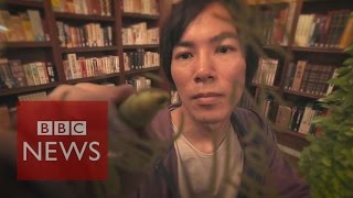 Manga artist Hajime Isayama reveals his inspiration  BBC News [upl. by Ancier]