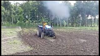 New Holland TT55 UG Tractor on Cultivation [upl. by Ludovick]