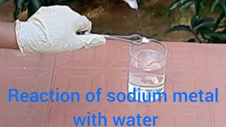 Reaction of sodium metal with water [upl. by Waylin514]