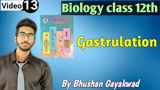 Gastrulation class 12th new syllabus  part 13 reproduction in lower and higher animals [upl. by Longmire8]