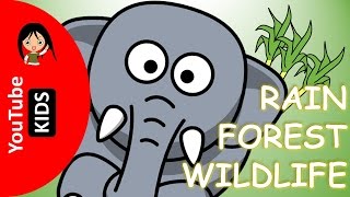 Learn Wild Rainforest Animals Names and Sounds with Actual Pictures  YouTube Kids [upl. by Godden]