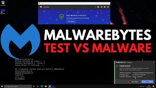 Malwarebytes 2022 Test vs Malware [upl. by Yraeg]