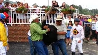 OSTRICH RACE winner circle Colonial Downs 2013 [upl. by Sucramel]