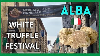 White Truffle Festival  Tartufo Bianco dAlba Piemonte Italy [upl. by Annhoj795]