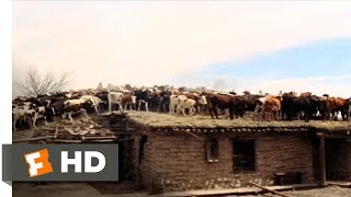 The Unforgiven 910 Movie CLIP  Rooftop Stampede 1960 HD [upl. by Pacian]