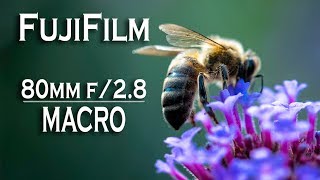 FujiFilm 80mm f28 OIS Macro Lens  Comparison Photos and Videos [upl. by Eissej]