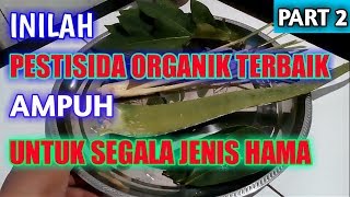 PESTISIDA ORGANIK TERBAIK AMPUH UNTUK SEGALA JENIS HAMA Part 2 [upl. by Nitsuj279]