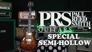 PRS Has NEW Core ModelsSpecial SemiHollow  Working Class Music [upl. by Stan]