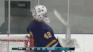 Waconia vs St Louis Park Boys Hockey Jan 18 2024 [upl. by Darnell]