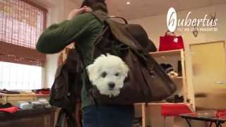 Hundetasche und Hunderucksack der Hubertus GmbH Filz und Loden Manufaktur [upl. by Agathy]