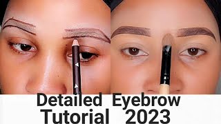 How To Detailed Eyebrow Tutorial For Beginners 2023 [upl. by Appolonia386]