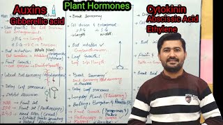 174 Plant hormones  chemical coordination in plants Fsc 2nd year Biology [upl. by Ap515]