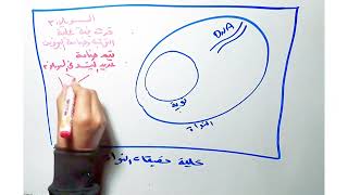 rRNA  ribosomal RNA  الريبوسومي  دمحمد عامر كامل [upl. by Ilujna]