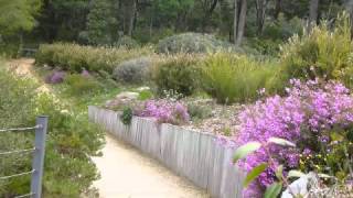 An introduction to the Eurobodalla Regional Botanic Gardens [upl. by Einra]