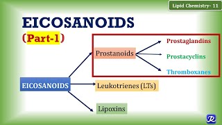 11 Eicosanoids Part 1 Prostanoids Prostaglandin Prostacyclin Thromboxane  Lipid Chemistry11 [upl. by Htrow634]