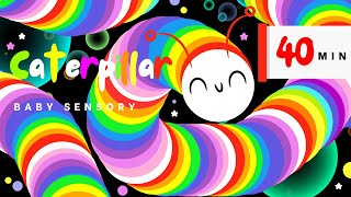 Colorful Caterpillar With Bubbles Sensory Videos for Babies Hight Contrast Eye Tracking  Fun Music [upl. by Ohare227]