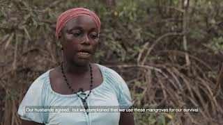 SEED SL leads sustainable mangrove conservation in Bonthe District Sierra Leone [upl. by Alahsal822]