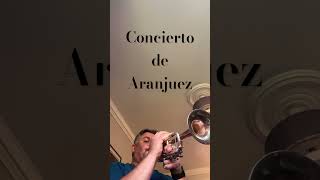 Concierto de Aranjuez  Joaquín Rodrigo [upl. by Nahrut216]