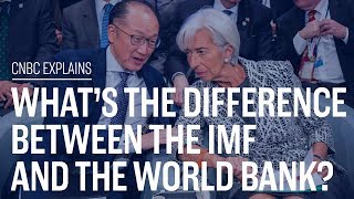 Whats the difference between the IMF and the World Bank  CNBC Explains [upl. by Nnylyram]