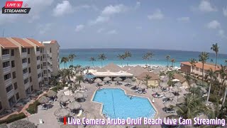 🌸 Live Camera Aruba Druif Beach Live Cam Streaming 🌸 [upl. by Nivert]