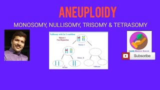 Aneuploidy Monosomy Nullisomy Trisomy and Tetrasomy [upl. by Jaime]