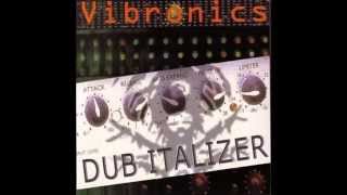 Vibronics Positive Direction  Positive Dub [upl. by Yrogerg]