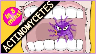 Actinomycetes Microbiology Morphology pathophysiology symptoms diagnosis treatment [upl. by Ennahs]