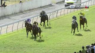 Hippisme 31e Journée Suivez en direct la 5ème course [upl. by Lurette]