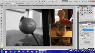 Adobe Photoshop CS5 Tutorial Basic Editing [upl. by Hill]