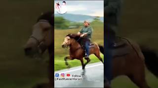 विदेशी घोड़े की सिंधी चाल 🏇 horseriding horselover sindhihorse animal horse horseshorts [upl. by Madda]