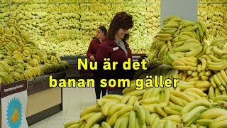 Nu är det bananer som gäller [upl. by Eiramrebma]