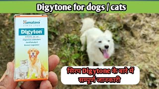 Digytone for Dogs Digytone Dogcat डॉग को भूख कम लगती हैं तो जान ले सिरप Digytone के बारे में [upl. by Xineohp]