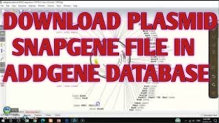 addgene databse II plasmid files in addgene II xgene and proteinx [upl. by Figueroa]