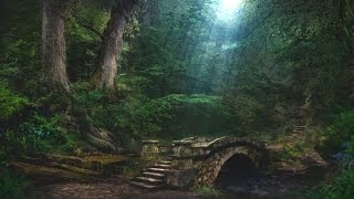 Forest Creek Sounds  3 Hours  Sleep Relax Focus or Meditation [upl. by Tahpos]