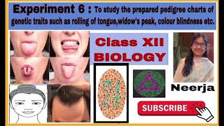 To study prepared pedigree charts of genetic traits ￼Experiment 6class 12biology by Neerja [upl. by Marjy]