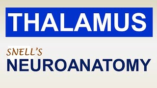 Chp12 THALAMUS  NeuroAnatomy  Snells NeuroAnatomy  Dr Asif Lectures [upl. by Cohbath]