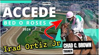 Favorite Accede Bed o Roses 2024 G2 horse bet horseracing [upl. by Lionel]