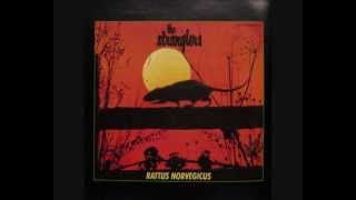 The Stranglers Rattus Norvegicus01 Sometimes [upl. by Patterson]