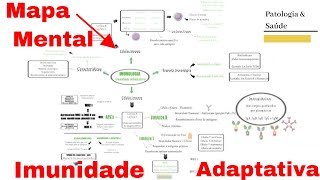 Mapa Mental Imunidade Adaptativa Histologia do Sistema Imune [upl. by Yddor]